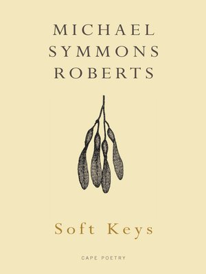 cover image of Soft Keys